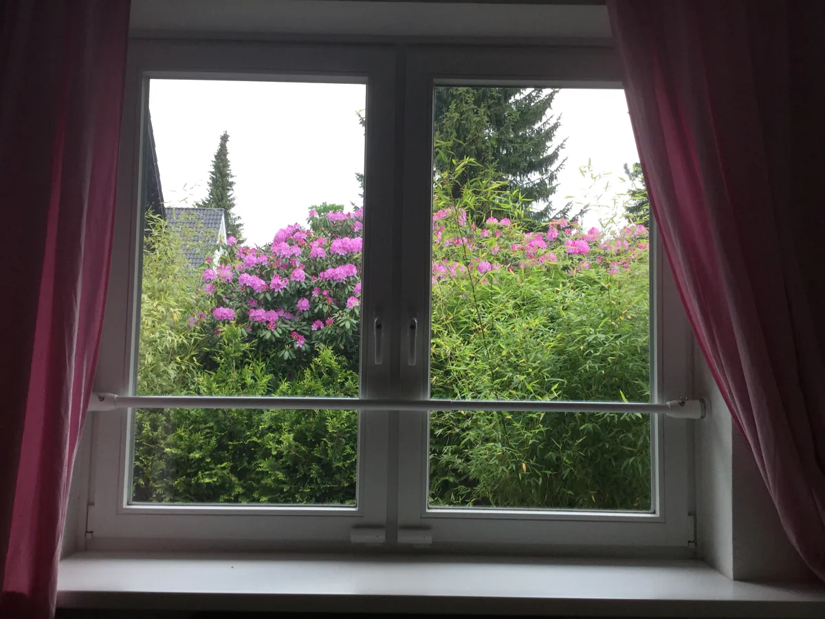 Fenster mit Vorhang und Absperrstange