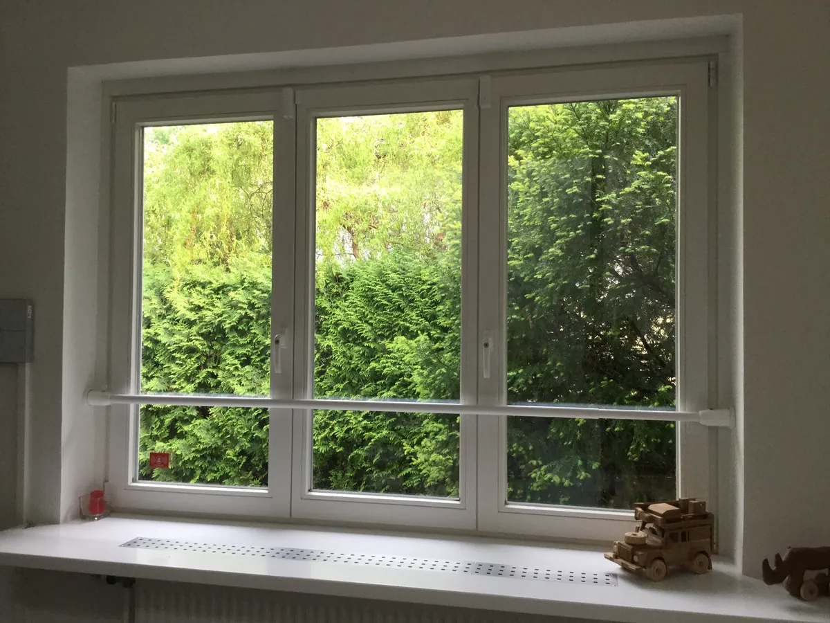 Fenster mit Absperrstange vor Büschen